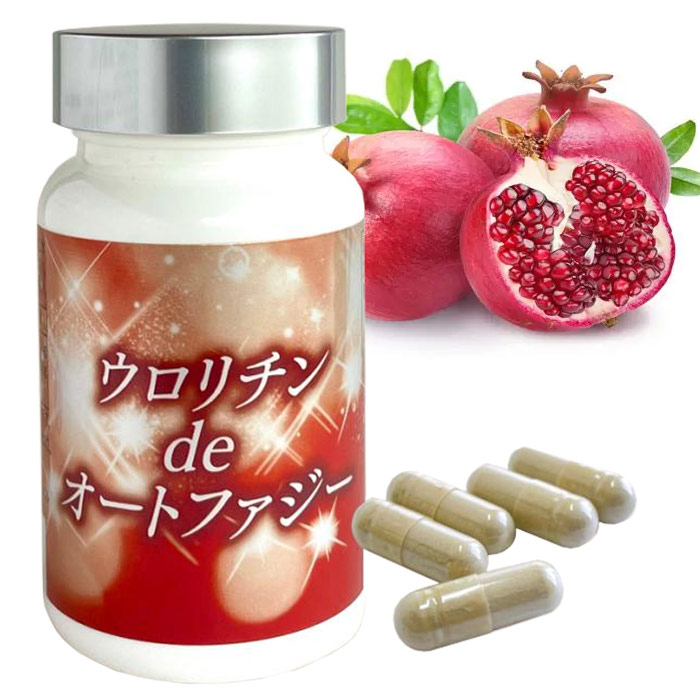 ウロリチンdeオートファジー（290mg×90粒）