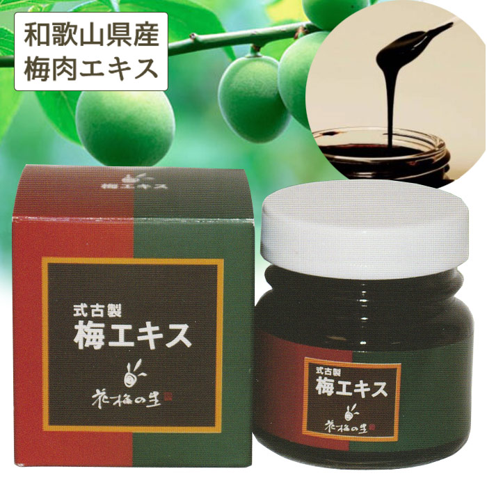 式古製 梅エキス（90g）