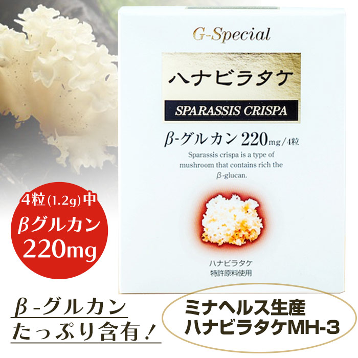 ハナビラタケGスペシャル（300mg×120粒）