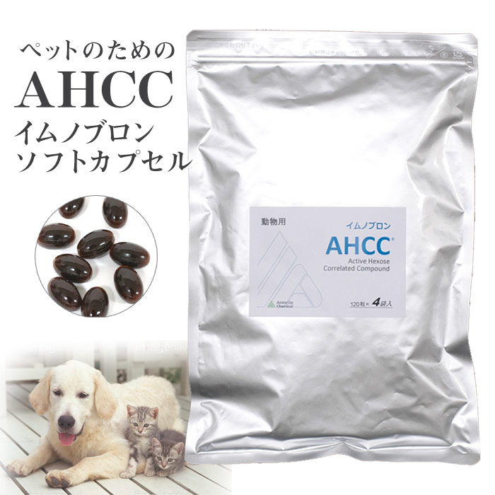 動物用AHCC イムノブロンカプセル480粒(120粒×4袋入)