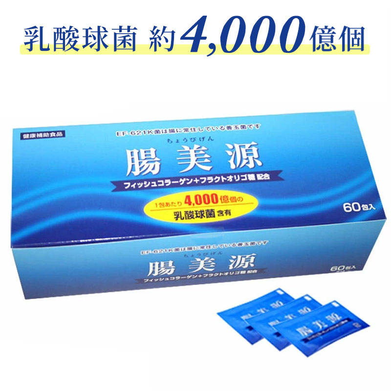 腸美源（EF-621K菌）1.2g×60包