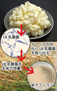 ケフィーラプラスが出来るまで