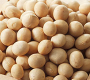 ホスファチジルセリン（大豆由来）