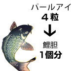 鯉胆末（鯉の胆のう）