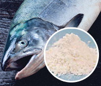 プロテオグリカン