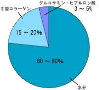 コラーゲンって何？