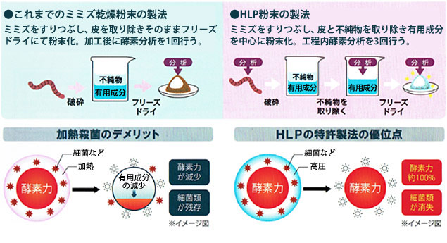 ミミズ酵素粉末(HLP)製造方法