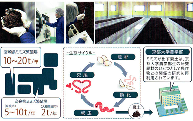 ミミズ酵素粉末(HLP)特許飼育法