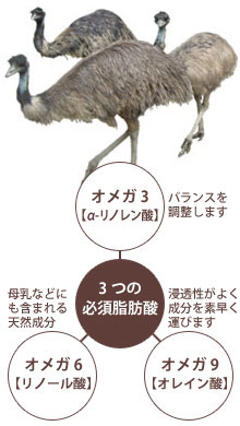 エミューオイル