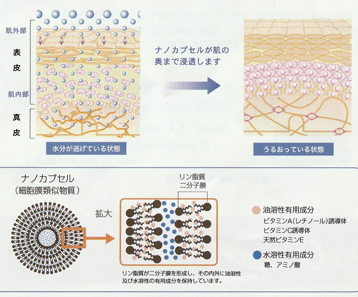 ビューティークリーム