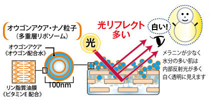 角層表面のメラニンが除去され、肌からの≪光リフレクト≫が多くなります