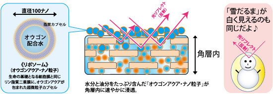 「光リフレクト（反射光）」が増え、肌は白く輝きます