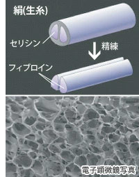 シルクフィブロイン