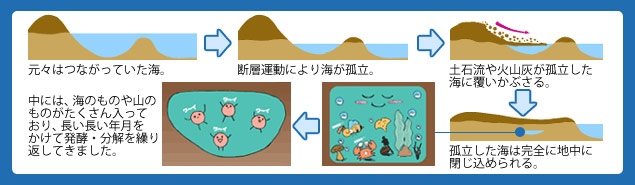 カタライザー21の原料