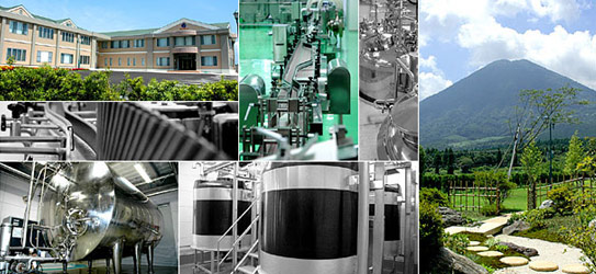 カタライザー製造工場