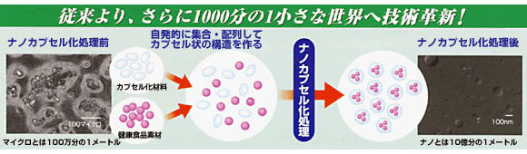 nanolipo_img04.jpg