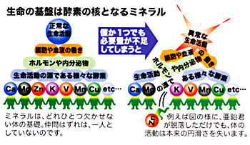22種類のミネラル