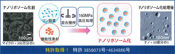 nanolipo01.jpg