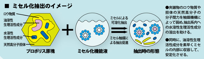 ミセル化抽出法