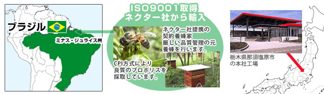 ブラジル産プロポリス