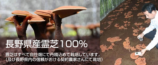 reishi_karyu05.jpg