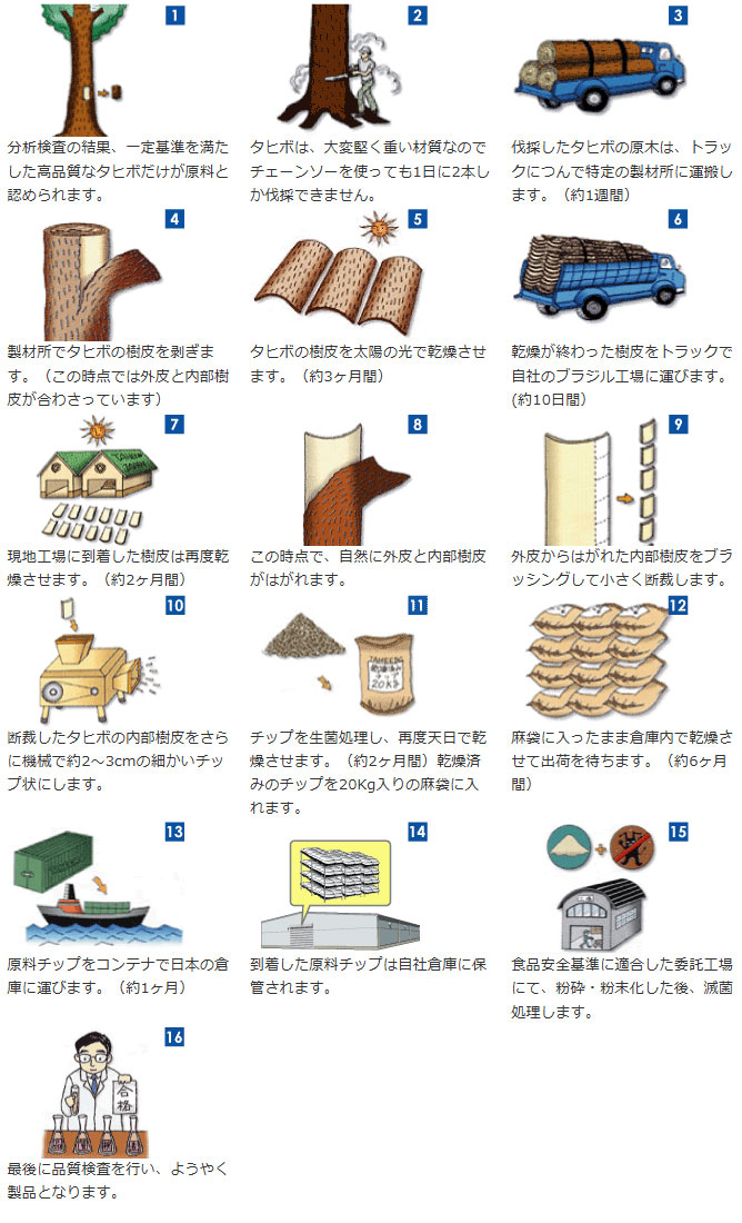 タヒボNFDができるまで