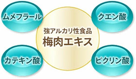 梅肉エキス